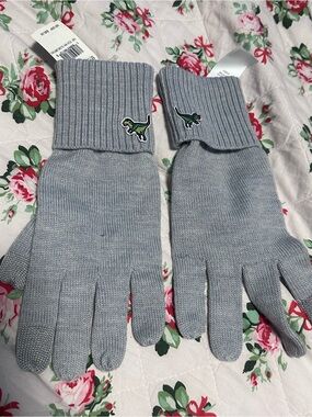 Coach Rexy Light Gray Knit Gloves